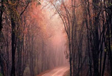 九游体育官网-队内火热训练，士气高昂备战赛事——铸就辉煌的幕后力量