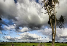 九游体育官方入口-擒敌成功！实力悬殊球队稳操胜券，轻松晋级