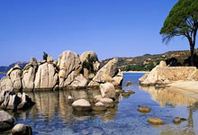 九游体育官网-队内火热训练，士气高昂备战赛事——铸就辉煌的幕后力量