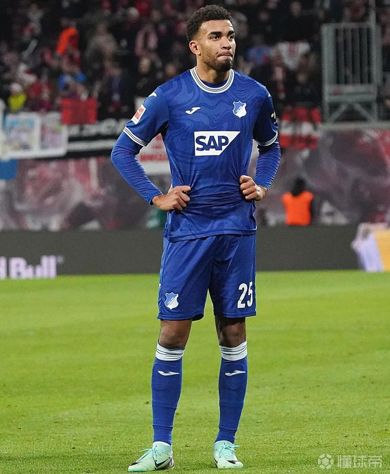 霍芬海姆客场击败对手,实现胜利 霍芬海姆客场击败对手,实现胜利